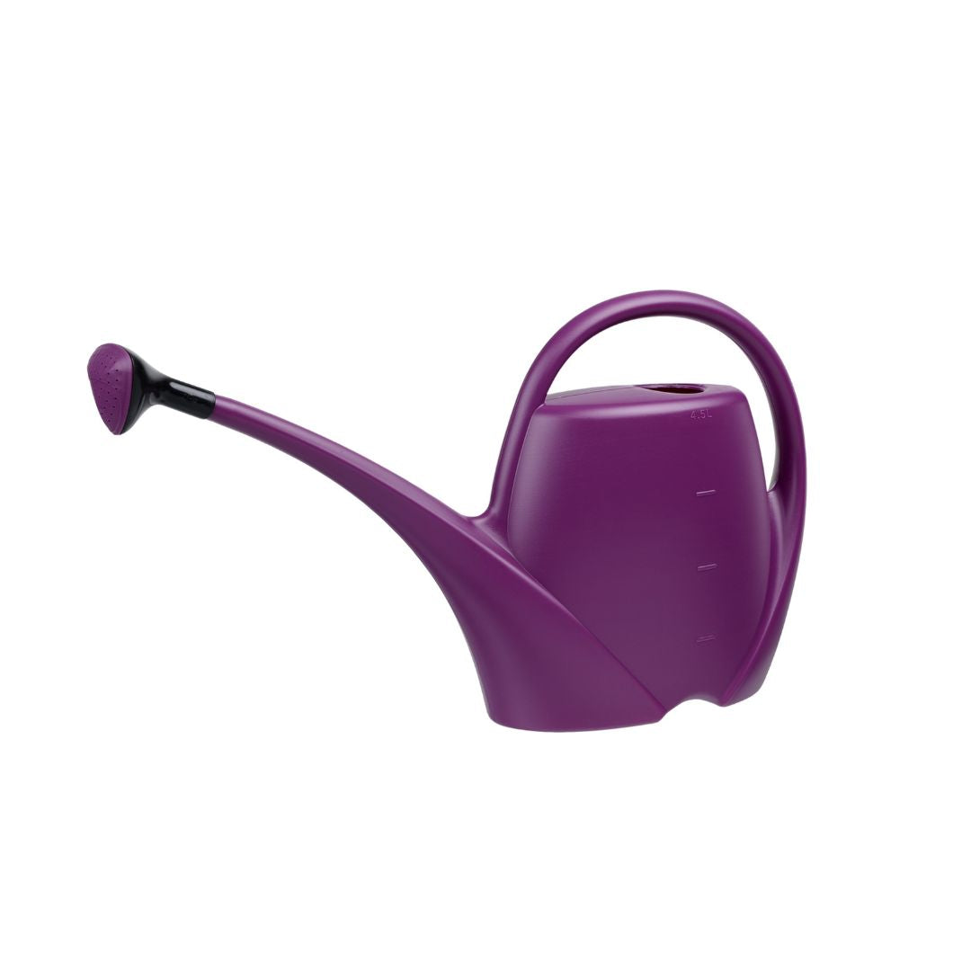 Lejkanna 2.5L violetā krāsā