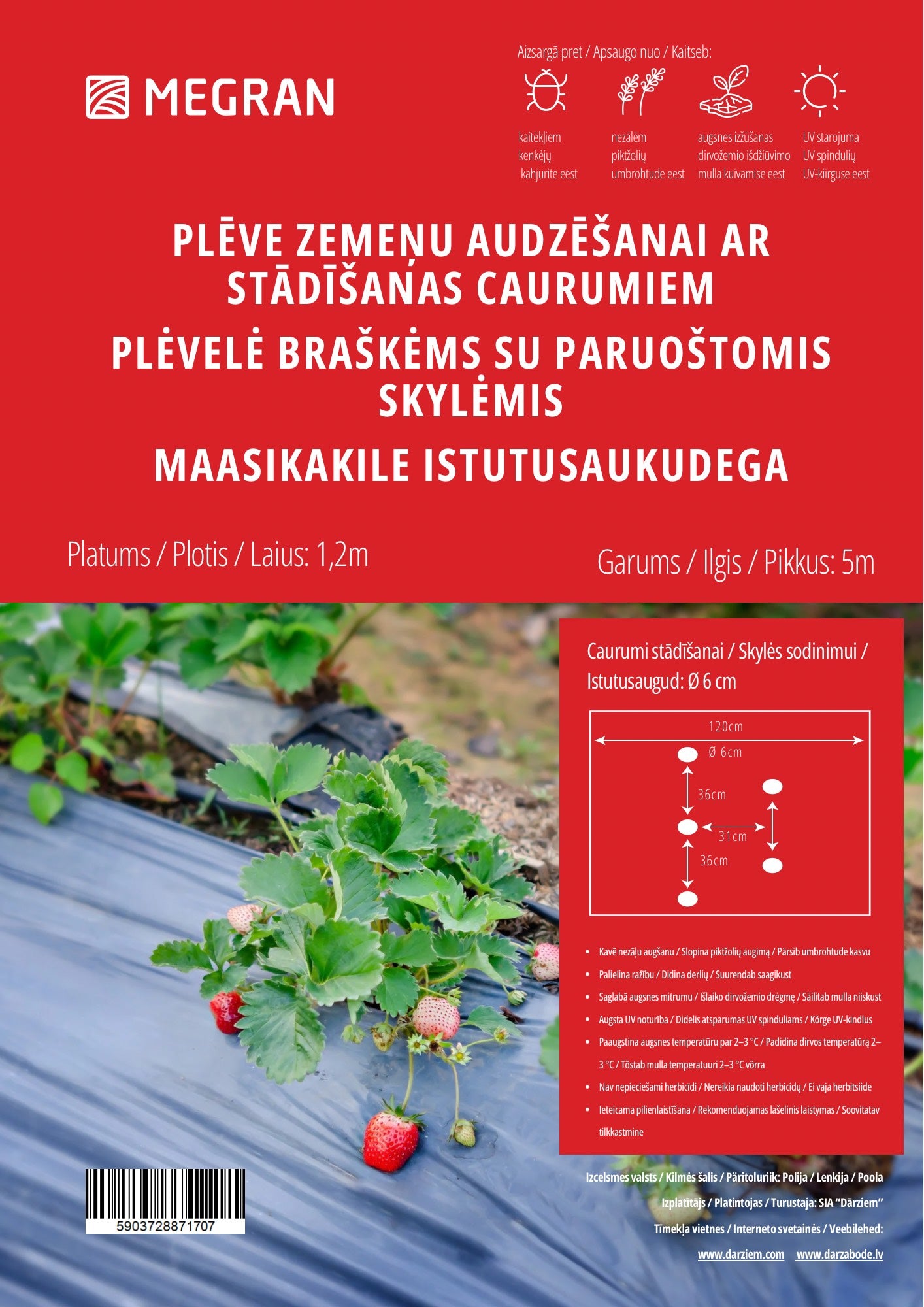 Plēve zemeņu audzēšanai ar stādīšanas caurumiem 1.2x10m