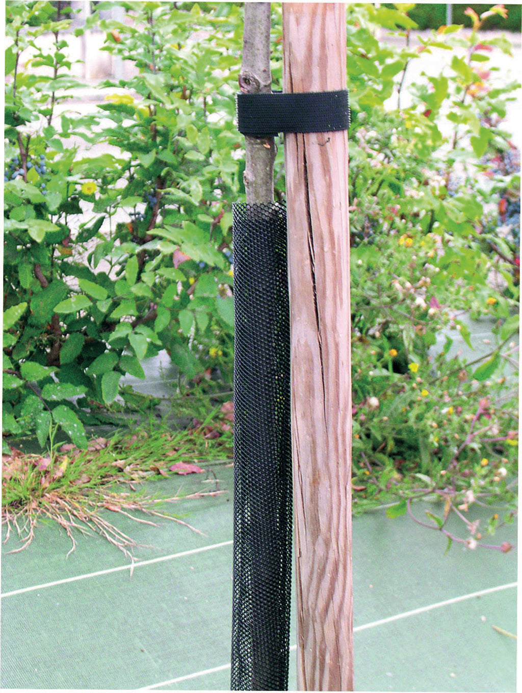 Aizsargsiets kokiem melns 110cm 6gab