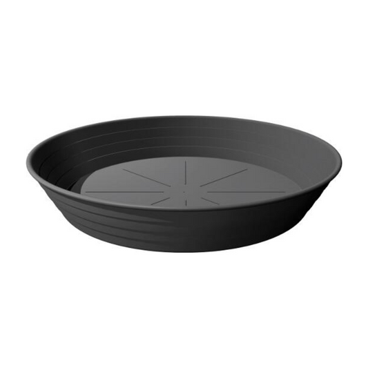 Paliktnis Primavera plastmasas 24cm