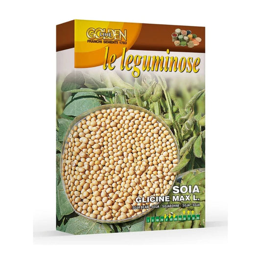 Pupiņas Sojas pupiņas 100g