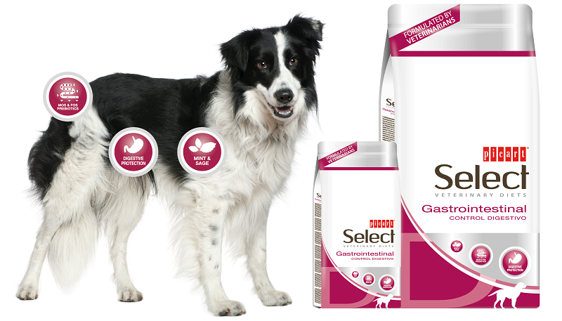 Suņu barība Select Veterinary Gastrointestinal Superpremium 2kg