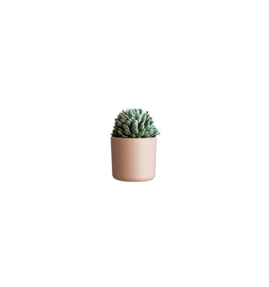 Puķu pods 14cm plastmasas vecrozā Lora