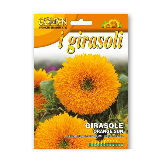 Saulespuķes augstās Orange sun 2g