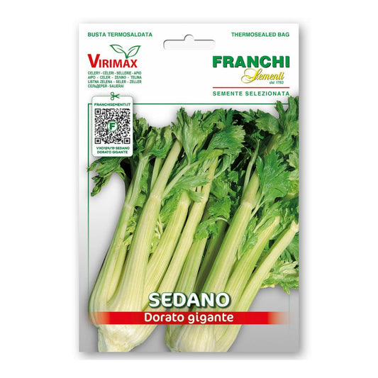 Selerija kātu Dorato 2   3g