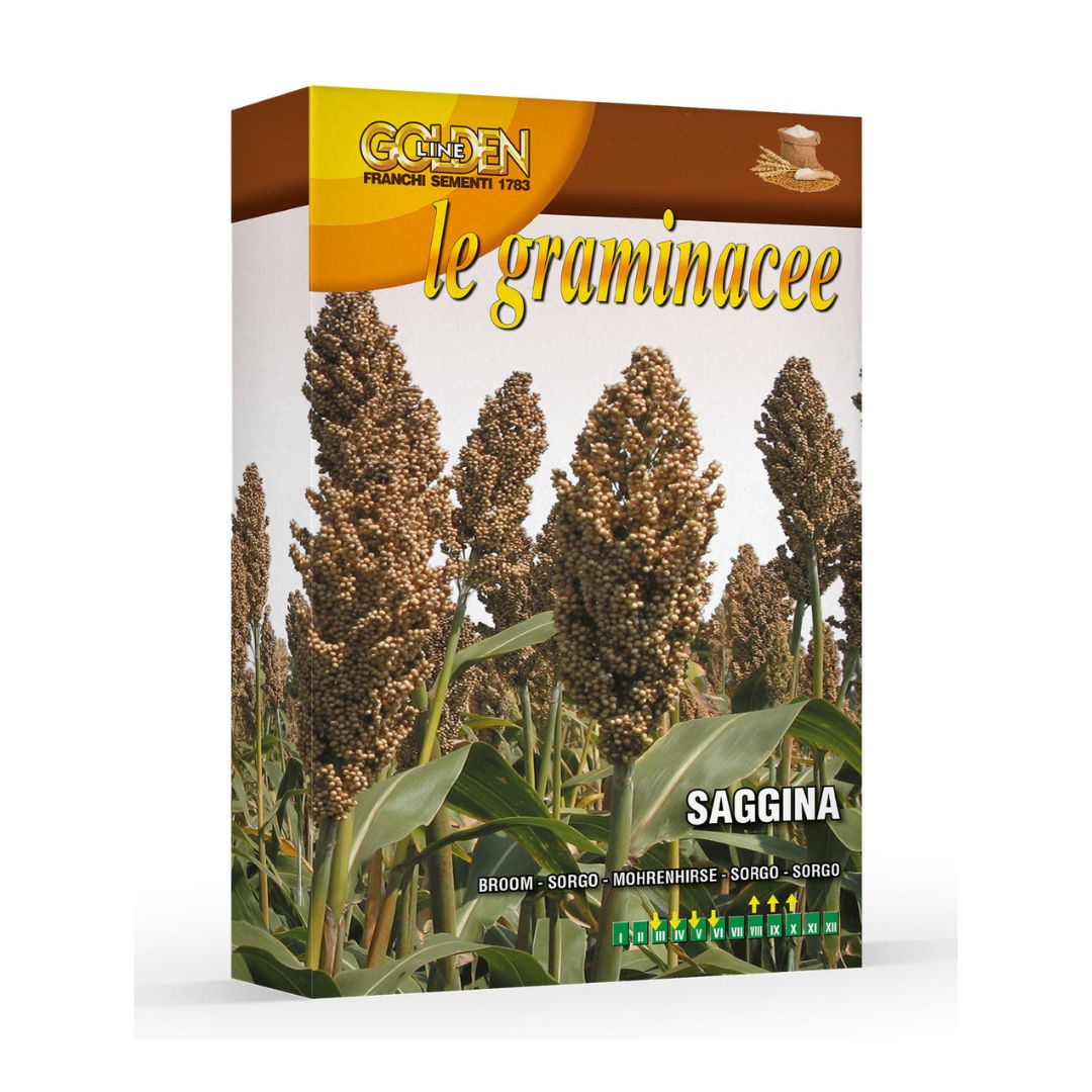 Sorgo sēklas 100g