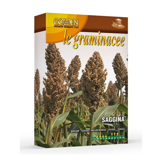 Sorgo sēklas 100g