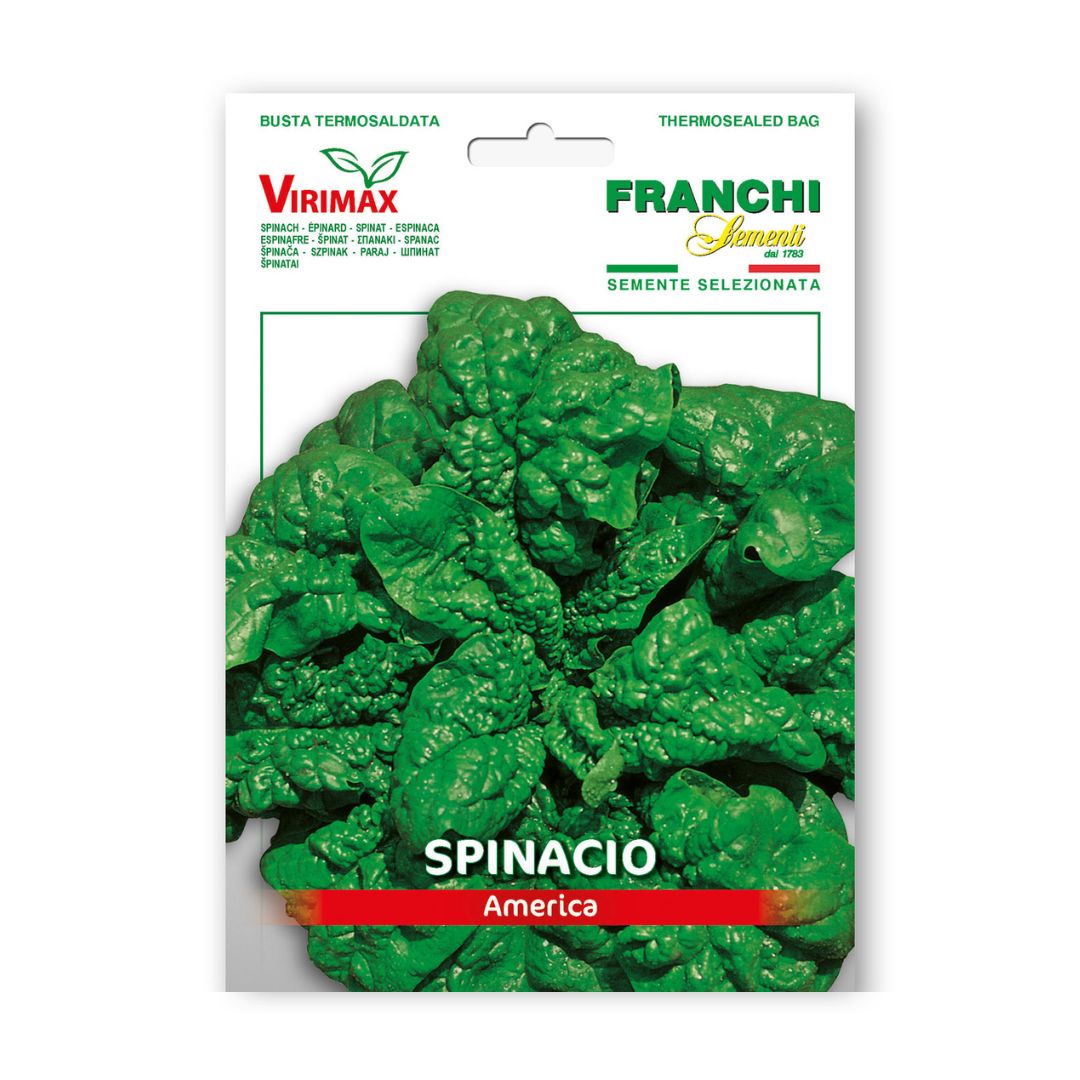 Spināti America 12