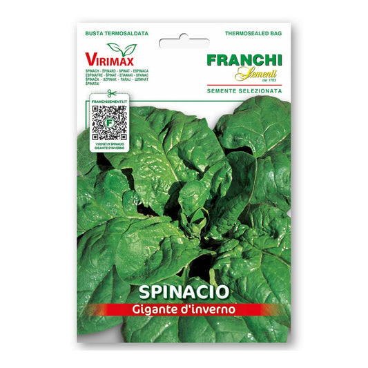 Spināti Gigante de Invierno 12g