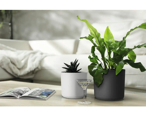 Puķu pods 14cm plastmasas balts Lora