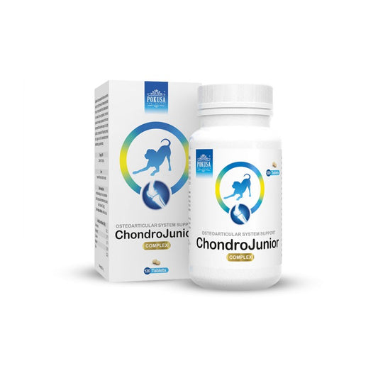 Straujās augšanas perioda uztura bagātinatājs suņiem junioriem Chondro Junior 120tb