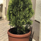 Atbalsta pusloki metāla 80cm